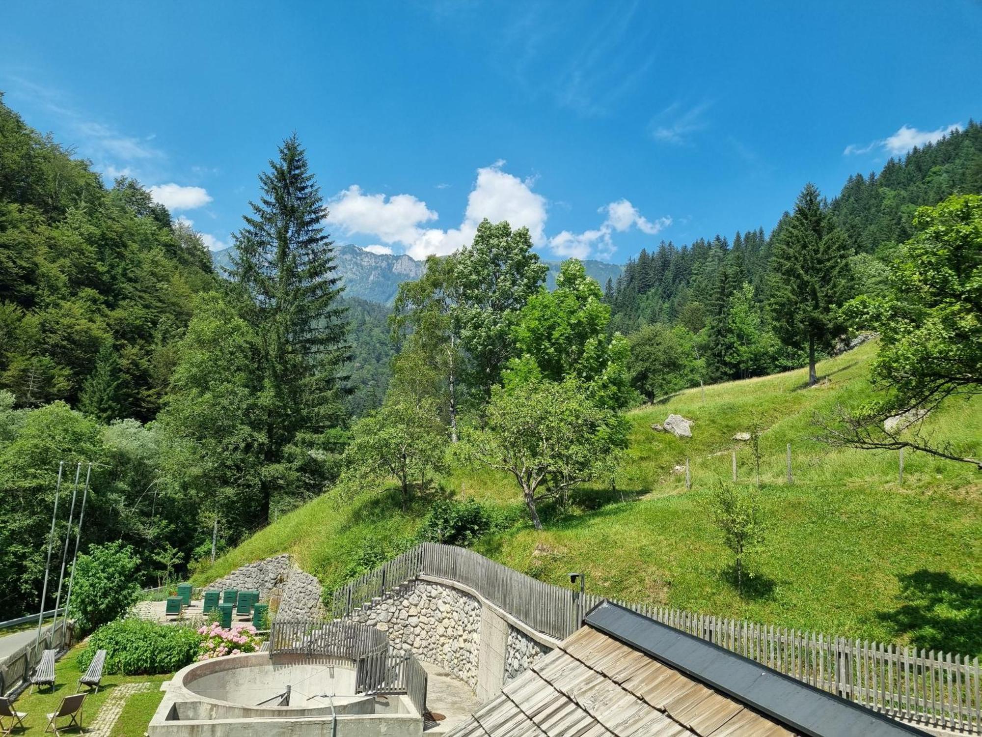 Apartments Pod Macesnovo Streho Solčava المظهر الخارجي الصورة