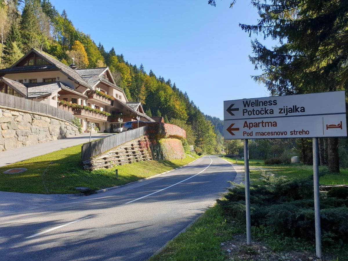 Apartments Pod Macesnovo Streho Solčava المظهر الخارجي الصورة