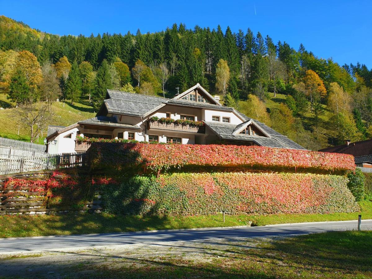 Apartments Pod Macesnovo Streho Solčava المظهر الخارجي الصورة
